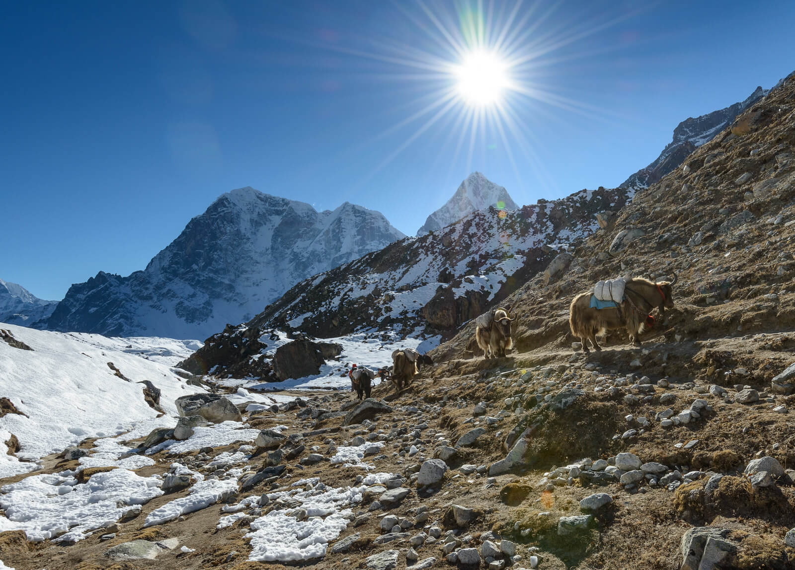 November trek to Everest Base Camp showcasing stunning mountain landscapes and clear skies