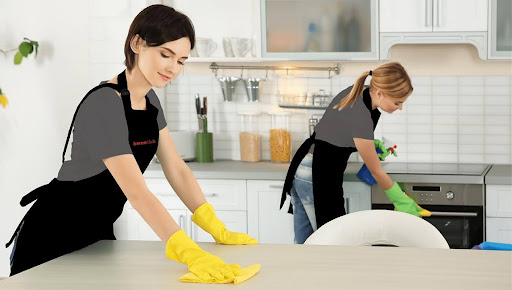 Why do homeowners need a Maid?