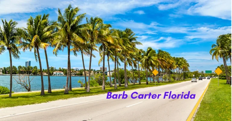 Barb Carter Florida: A Virtual Journey to a Coastal Paradise