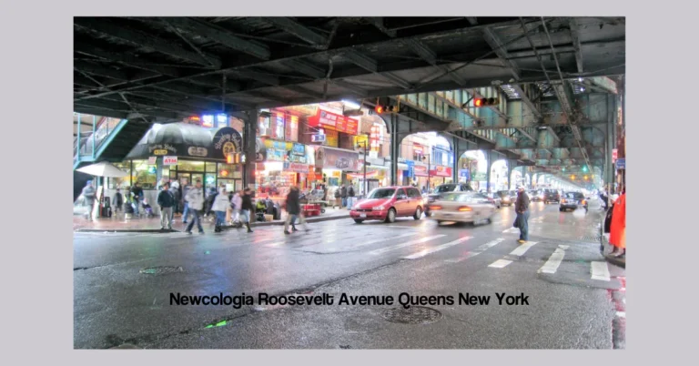 Newcologia Roosevelt Avenue Queens New York: Blending Environmental Awareness with Culinary Delights