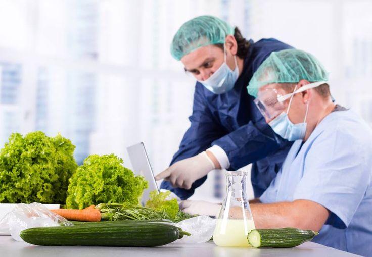 Why Are SQF Audits Crucial for Food Safety Compliance?