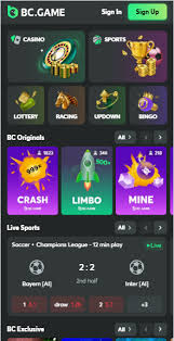 The Rise of the Online Casino Bookie A New Era in Gambling The Rise of the Online Casino Bookie A New Era in Gambling