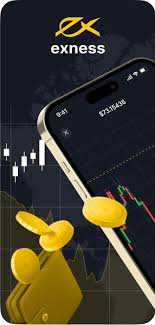 Comprehensive Exness Information for Traders 4 Comprehensive Exness Information for Traders 4