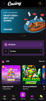 The Ultimate Guide to Gaming with Casiny App