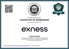 Explore the Benefits of Exness Forex Demo Accounts