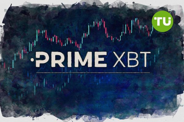 Unlocking the Potential of PrimeXBT Traders